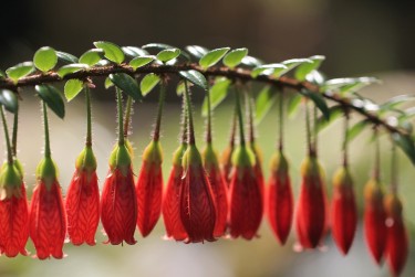 佛山禅城区8私人快速借钱网，轻松解决资金难题