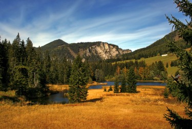 佛山禅城区8民间私贷攻略：揭秘低成本借贷的秘密