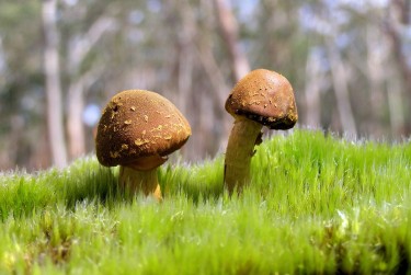 佛山禅城区8私人老板放款：轻松融资的秘密通道